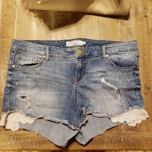Torrid Denim Detailed Shorts